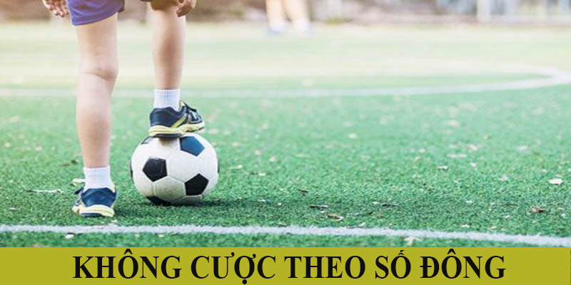 Không nên hùa theo đám đông khi cá cược