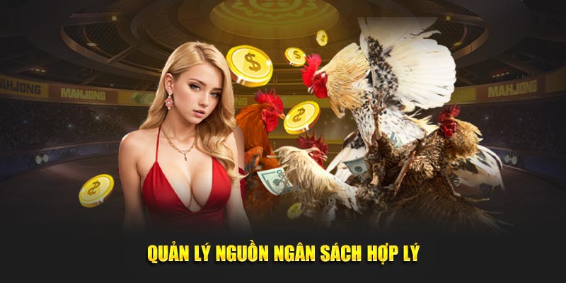 Quản lý nguồn ngân sách hợp lý tại đá gà trực tiếp Thomo SHBET